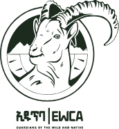 Ethiopian Wildlife Conservation Authority