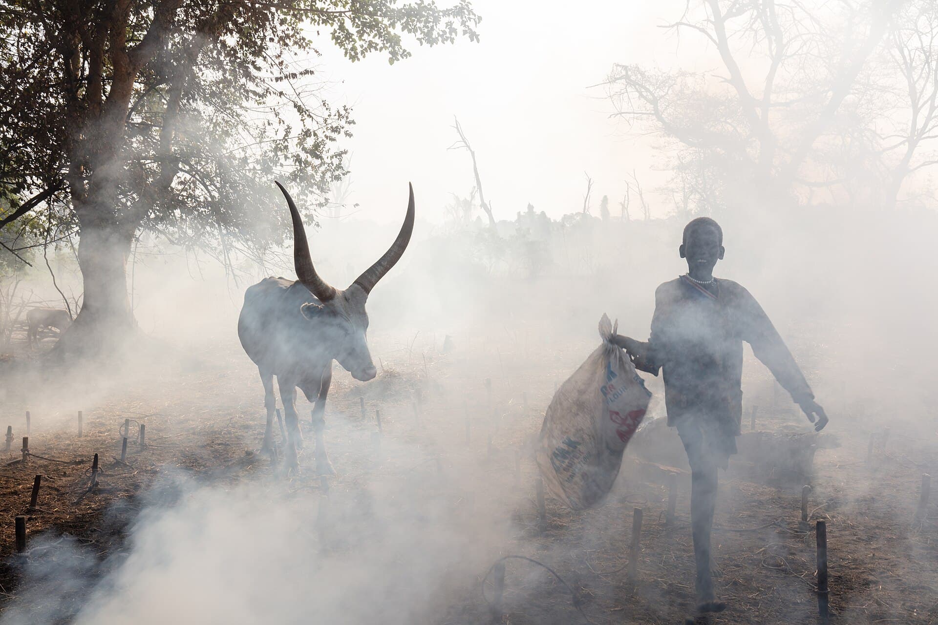 South Sudan (Nilotic Wilderness)