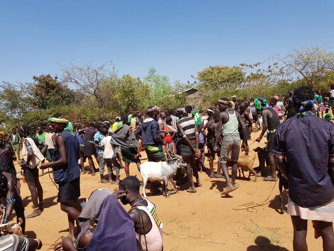 Days Safari Tours to the Southern Parts of Ethiopia