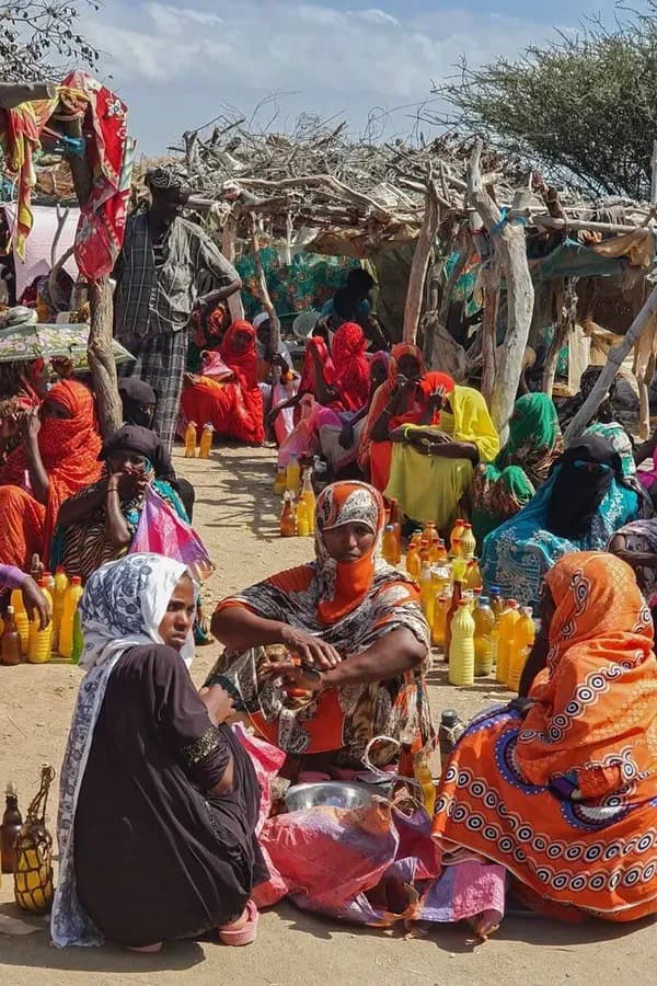 6-Day Best of Eritrea Expedition