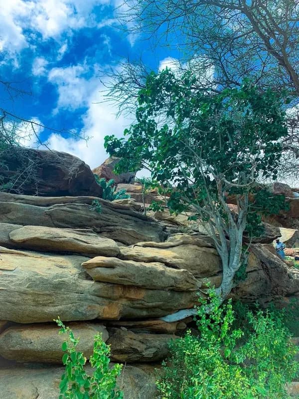 5-Day Somaliland Highlights Tour